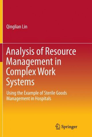 Könyv Analysis of Resource Management in Complex Work Systems QINGLIAN LIN