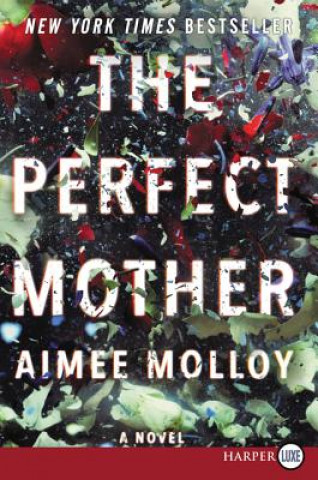 Carte The Perfect Mother Aimee Molloy