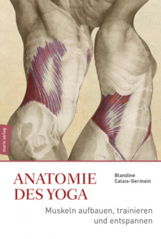 Kniha Anatomie im Yoga Blandine Calais-Germain