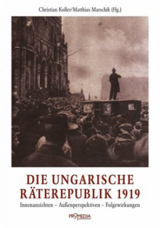 Könyv Die ungarische Räterepublik 1919 Christian Koller