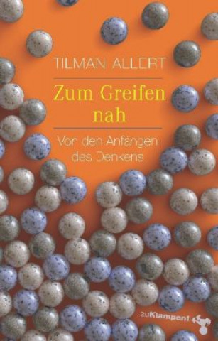 Knjiga Zum Greifen nah Tilman Allert