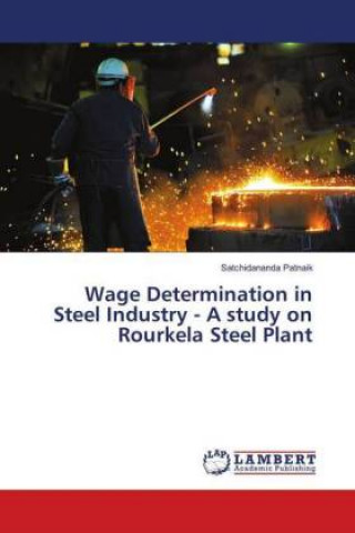 Kniha Wage Determination in Steel Industry - A study on Rourkela Steel Plant Satchidananda Patnaik