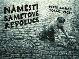 Knjiga Náměstí Sametové revoluce Tomáš Vích
