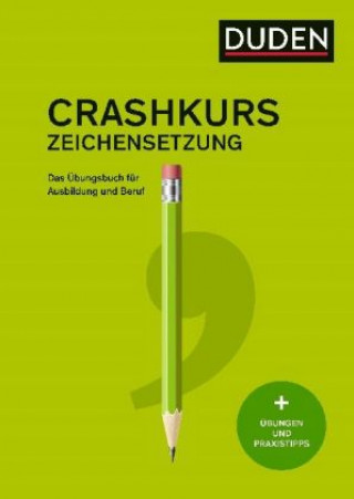 Kniha Crashkurs Zeichensetzung Anja Steinhauer