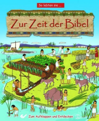 Könyv Zur Zeit der Bibel Lois Rock