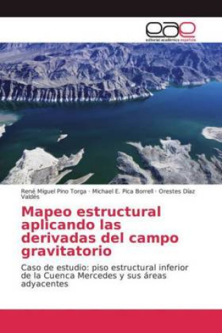 Knjiga Mapeo estructural aplicando las derivadas del campo gravitatorio René Miguel Pino Torga