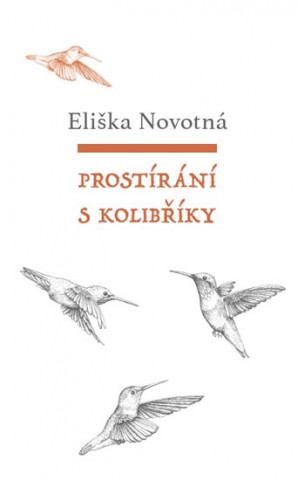 Carte Prostírání s kolibříky Eliška Novotná