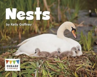 Kniha Nests Kelly Gaffney