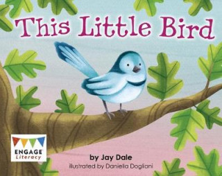 Könyv This Little Bird Kelly Gaffney