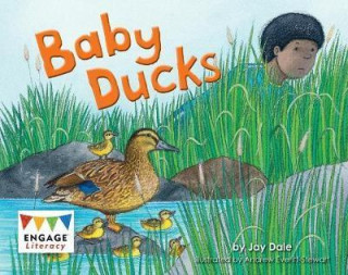 Kniha Baby Ducks Jay Dale