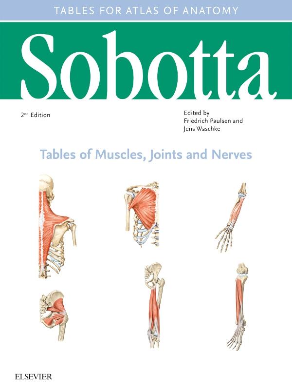 Könyv Sobotta Tables of Muscles, Joints and Nerves, English/Latin Friedrich Paulsen