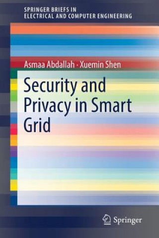 Carte Security and Privacy in Smart Grid Asmaa Abdallah