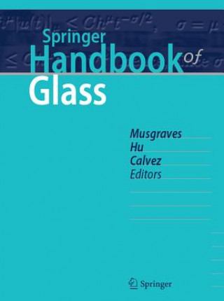 Kniha Springer Handbook of Glass J. David Musgraves