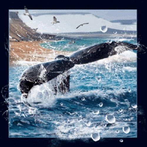 Articole de papetărie Magnes 3D - Ogon wieloryba 