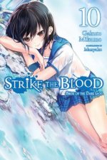 Carte Strike the Blood, Vol. 10 (light novel) Gakuto Mikumo