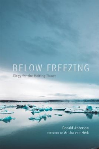Kniha Below Freezing Donald Anderson