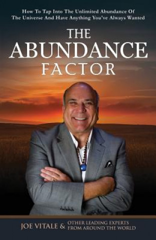 Kniha Abundance Factor Joe Vitale