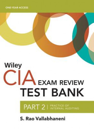 Kniha Wiley CIAexcel Test Bank 2019 S. Rao Vallabhaneni