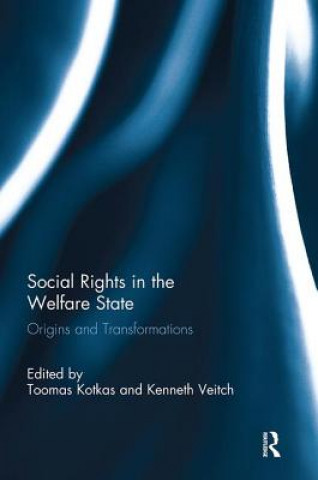 Könyv Social Rights in the Welfare State 