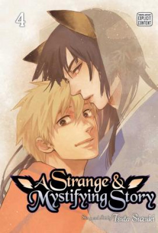 Kniha Strange & Mystifying Story, Vol. 4 Tsuta Suzuki
