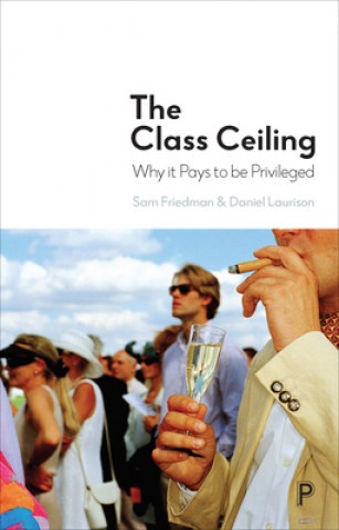 Boek Class Ceiling Sam Friedman