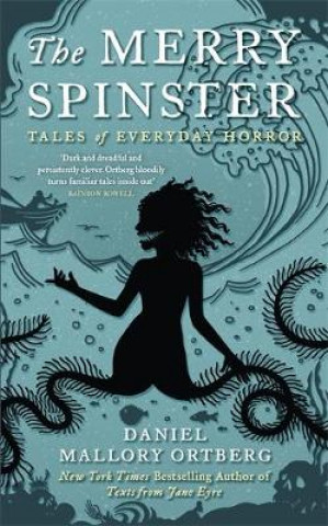 Kniha Merry Spinster Mallory Ortberg