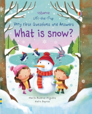 Carte Very First Questions and Answers What is Snow? Katie Daynes