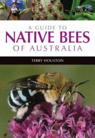 Kniha Guide to Native Bees of Australia Terry Houston
