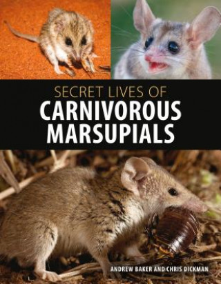 Book Secret Lives of Carnivorous Marsupials Andrew Baker