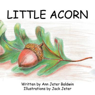 Livre Little Acorn ANN JETER BALDWIN