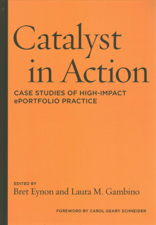 Knjiga Catalyst in Action Bret Eynon