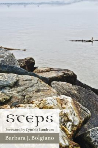 Boek Steps BARBARA BOLGIANO