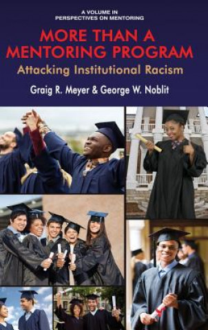 Книга More Than a Mentoring Program Graig Meyer