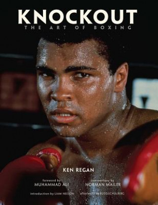 Kniha Knockout Ken Regan