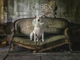 Książka Furbex ALICE VAN KEMPEN