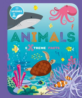 Livro Animals Steffi Cavell-Clarke