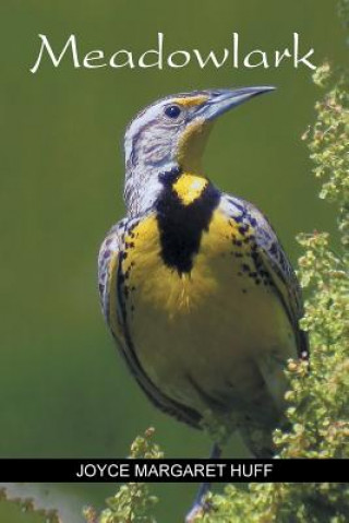 Libro Meadowlark JOYCE MARGARET HUFF