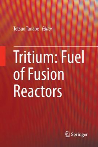 Knjiga Tritium: Fuel of Fusion Reactors TETSUO TANABE