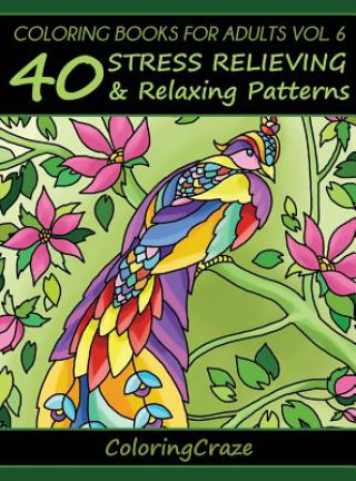 Kniha Coloring Books for Adults Volume 6 Coloringcraze