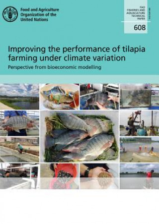 Könyv Improving the performance of Tilapia Food and Agriculture Organization