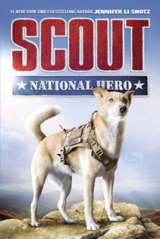 Book Scout: National Hero Jennifer Li Shotz