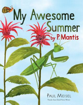 Book My Awesome Summer by P. Mantis Paul Meisel