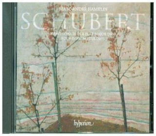 Audio Klavierwerke, 1 Audio-CD Franz Schubert