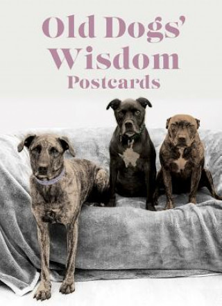 Carte Old Dog Wisdom Postcards Fiona Tomlinson