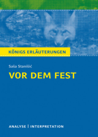 Kniha Vor dem Fest Saša Stanišić