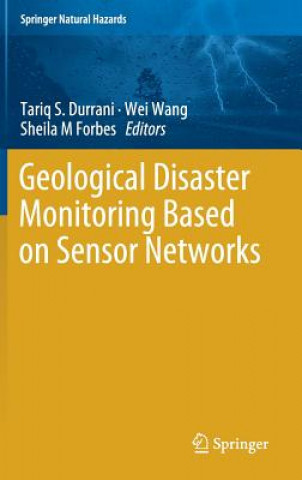 Книга Geological Disaster Monitoring Based on Sensor Networks Tariq S Durrani