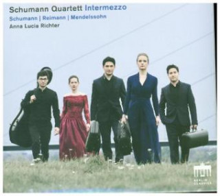 Audio Intermezzo, 1 Audio-CD Schumann Quartett