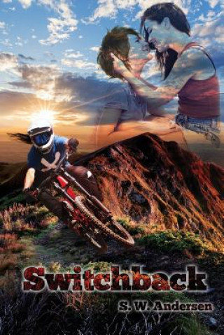 Knjiga Switchback S W Andersen