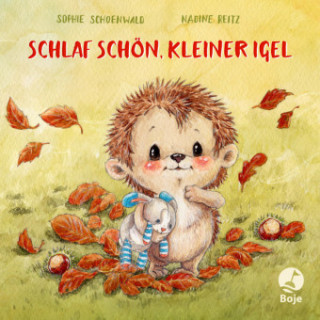 Βιβλίο Schlaf schön, kleiner Igel Sophie Schoenwald