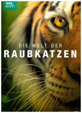 Wideo Die Welt der Raubkatzen 